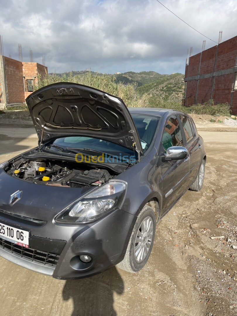 Renault Clio 3 2010 Clio 3