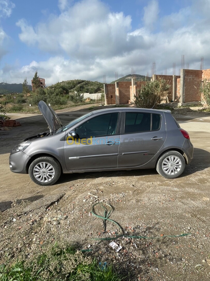 Renault Clio 3 2010 Clio 3