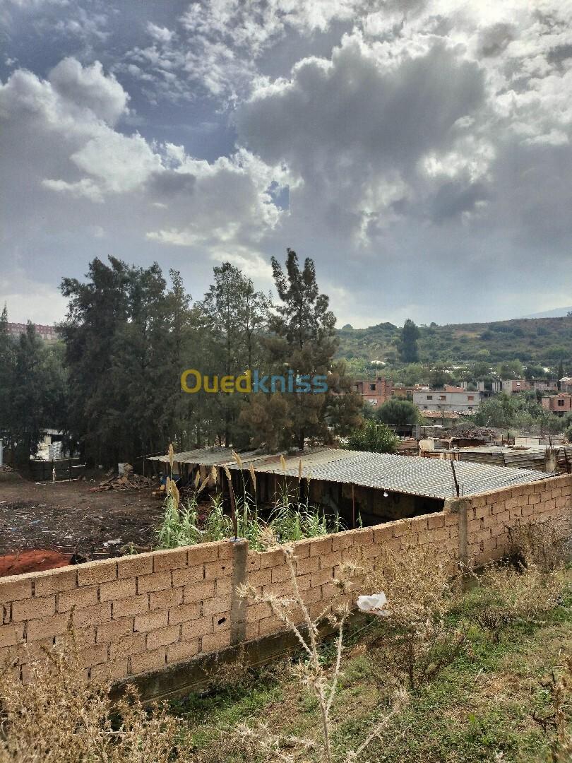 Vente Terrain Blida Bouinan