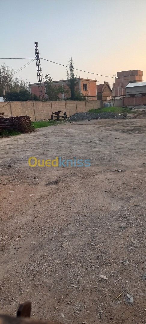 Location Terrain Blida Ouled selama