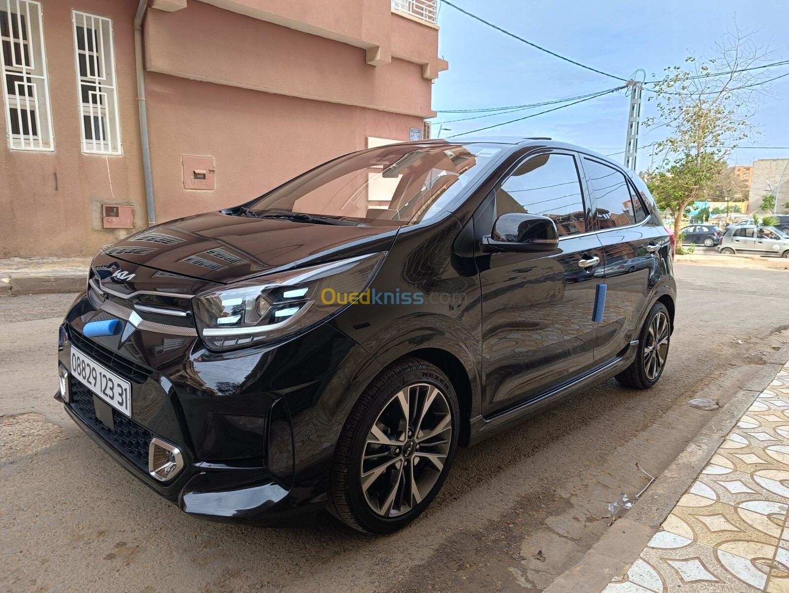 Kia Picanto 2023 Morning