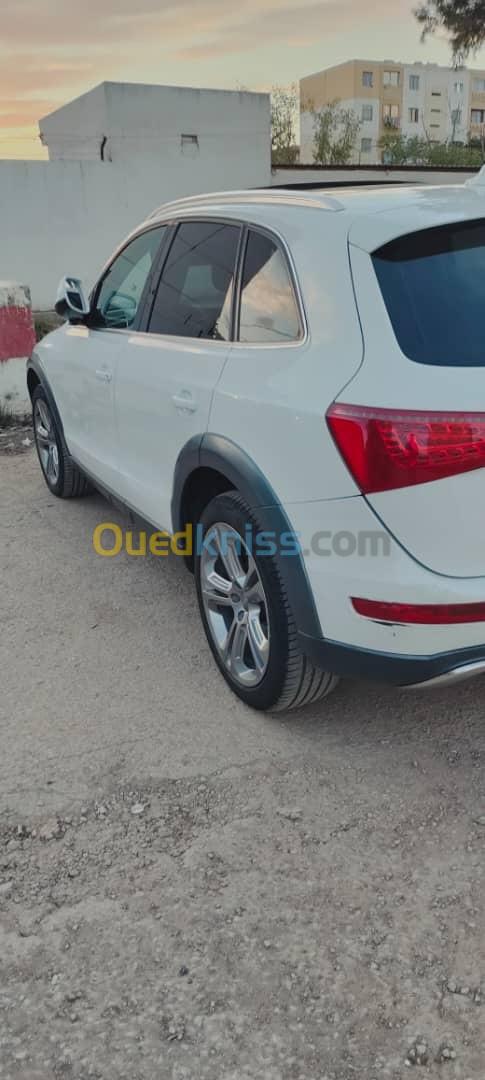 Audi Q5 2012 Off Road