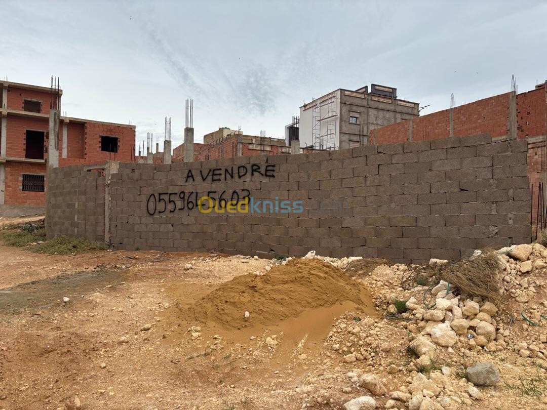 Vente Terrain Mostaganem Mostaganem