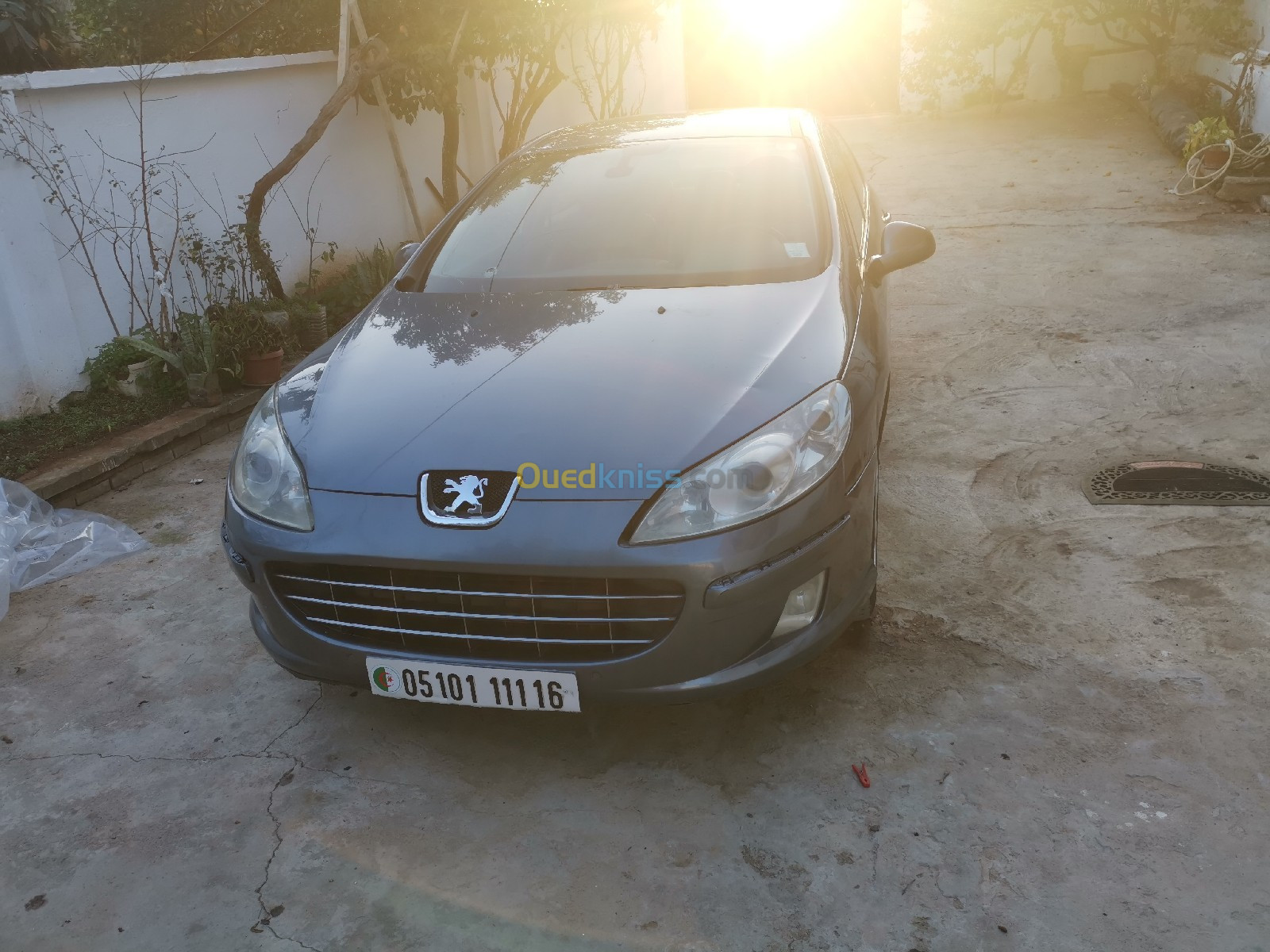 Peugeot 407 Coupé 2011 407 Coupé