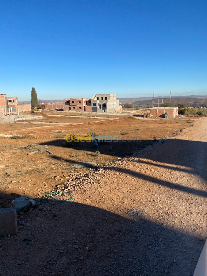 Vente Terrain Tlemcen Tlemcen