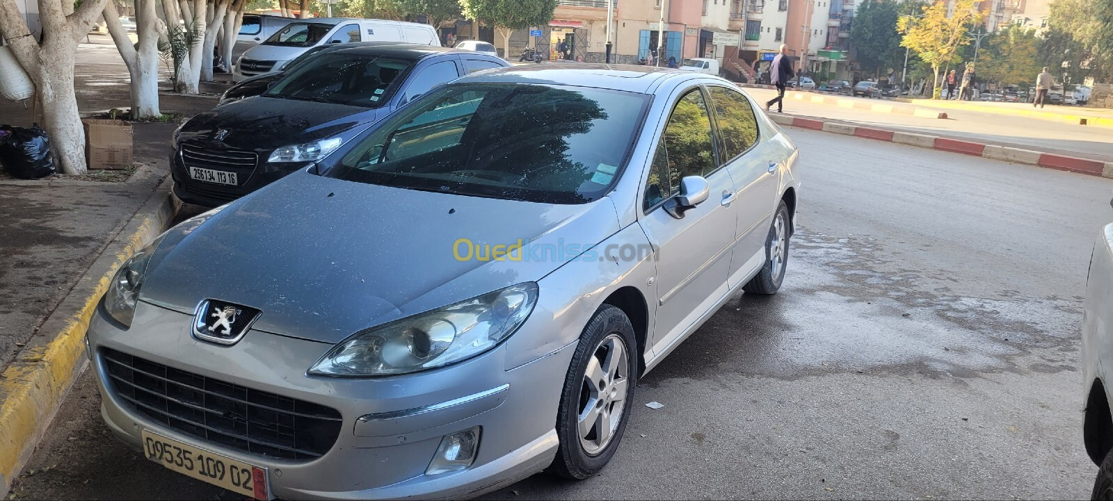 Peugeot 407 2009 Allure