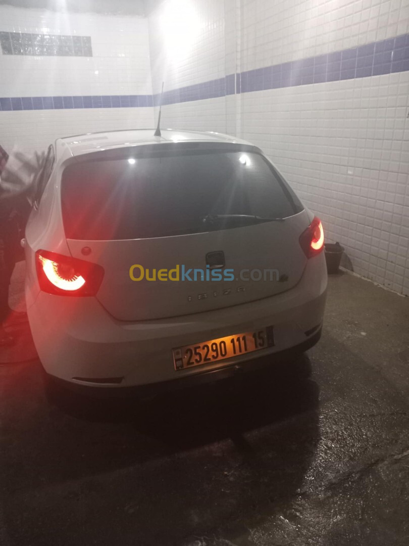 Seat Ibiza 2011 Ibiza