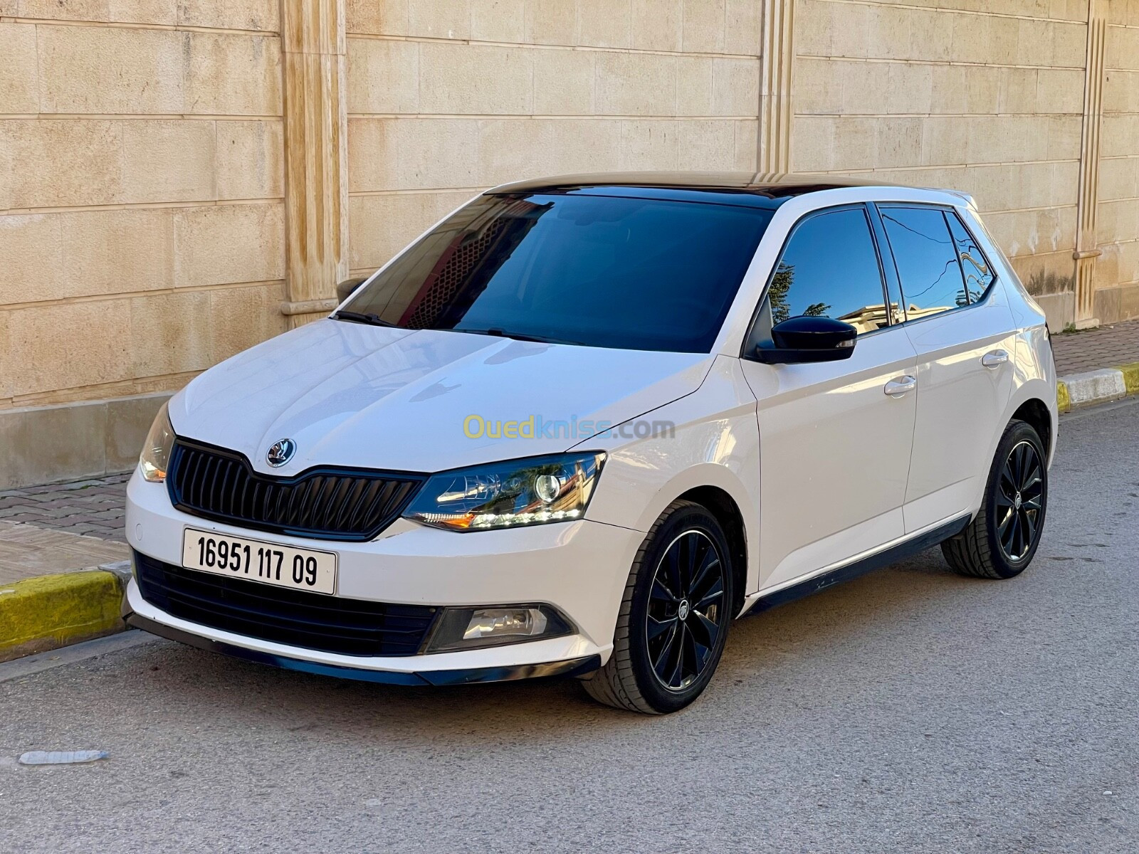 Skoda Fabia 2017 Monte Carlo