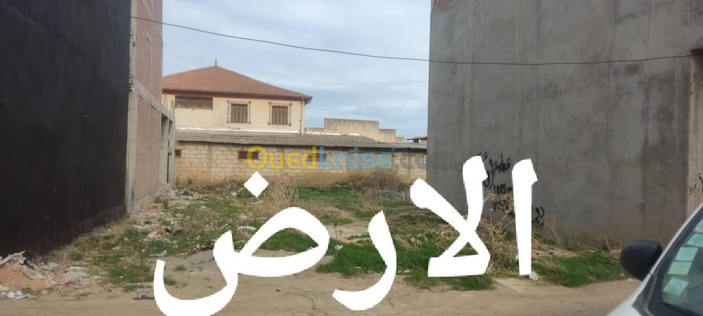 Sell Land Algiers Sidi moussa