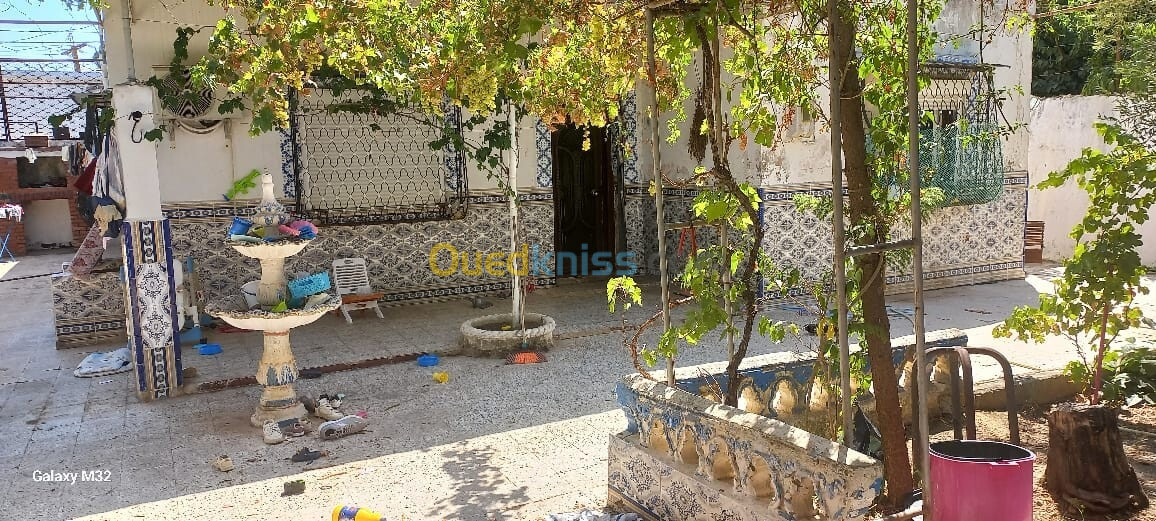 Vente Villa El Tarf Ben mehdi