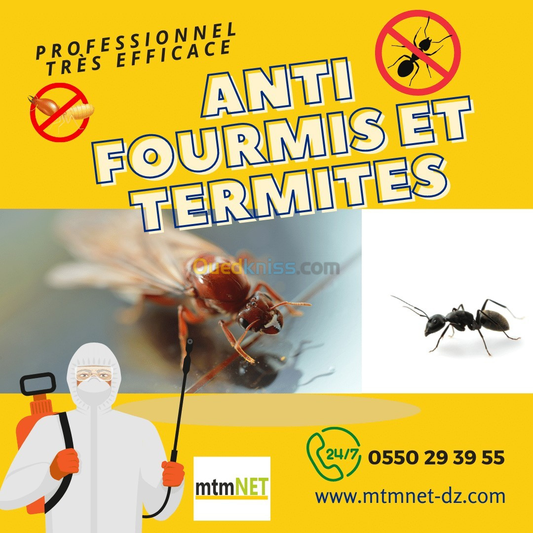 traitements anti termites et fourmis à oran