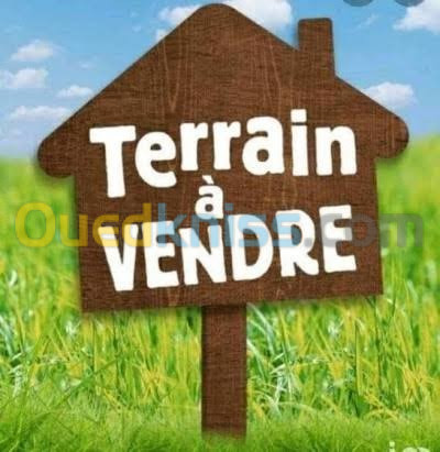 Vente Terrain Sidi bel abbes Sidi hamadouche