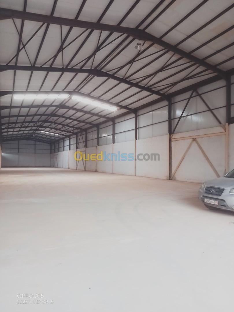 Location Hangar Blida Boufarik