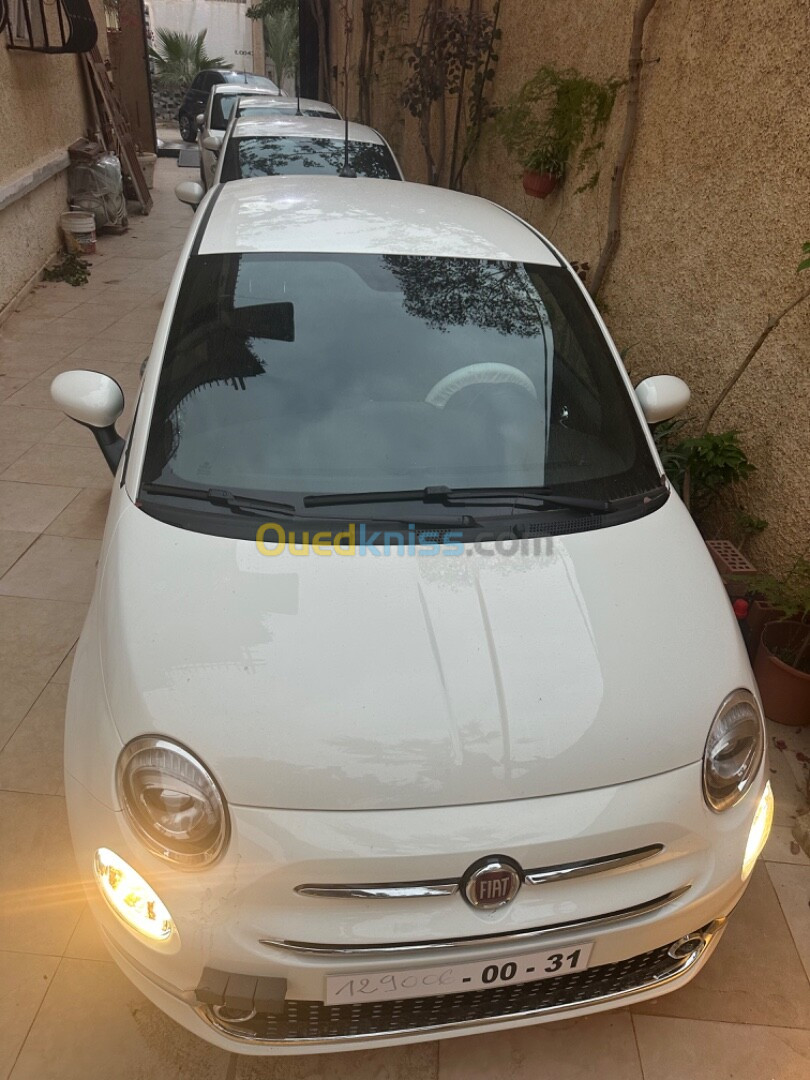 Fiat 500 2024 