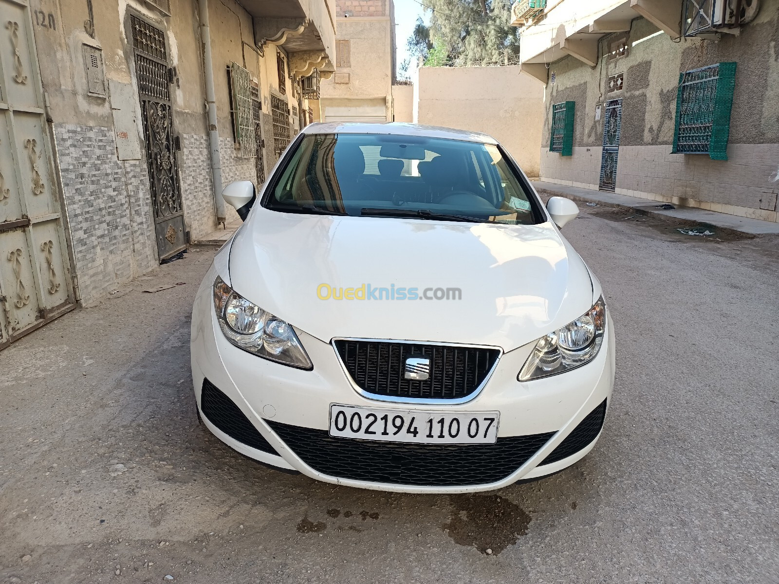 Seat Ibiza 2010 Ibiza