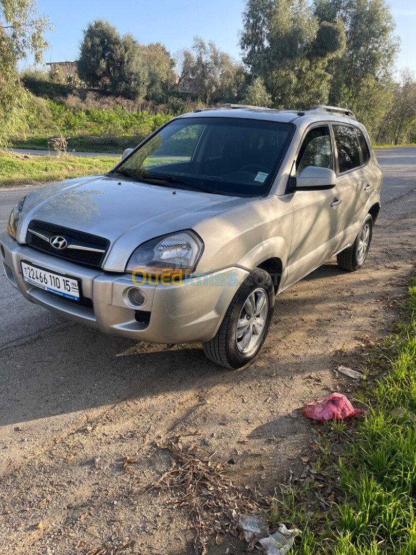 Hyundai Tucson 2010 Tucson