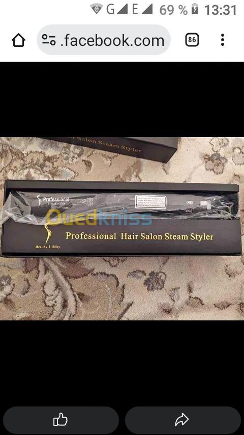 Professionnel steam styler 