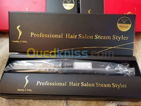 Professionnel steam styler 