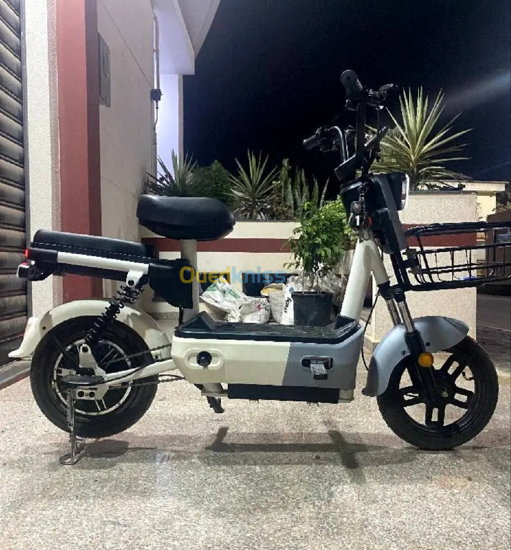 scooter scooter électrique 2024