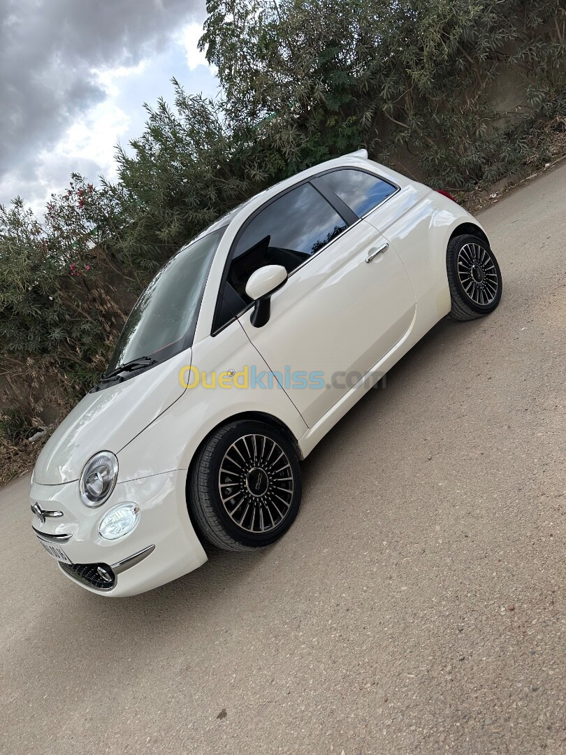 Fiat 500 2023 500