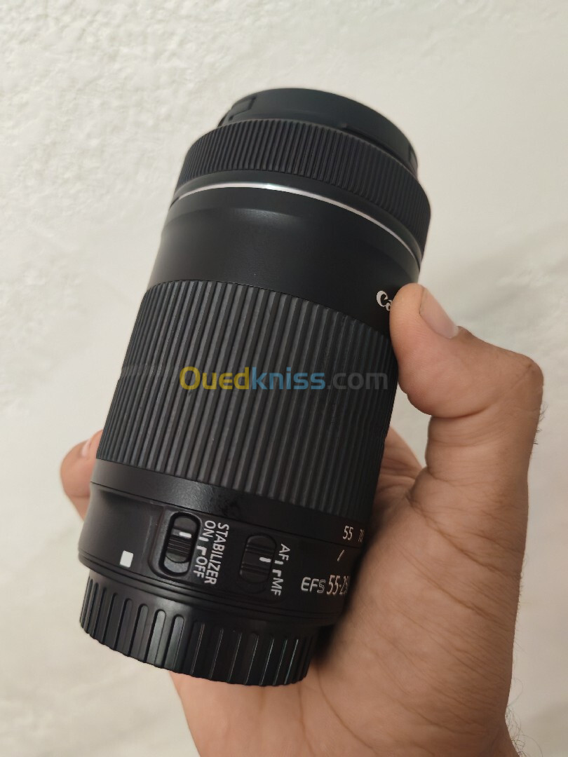 Canon 55-250 STM 