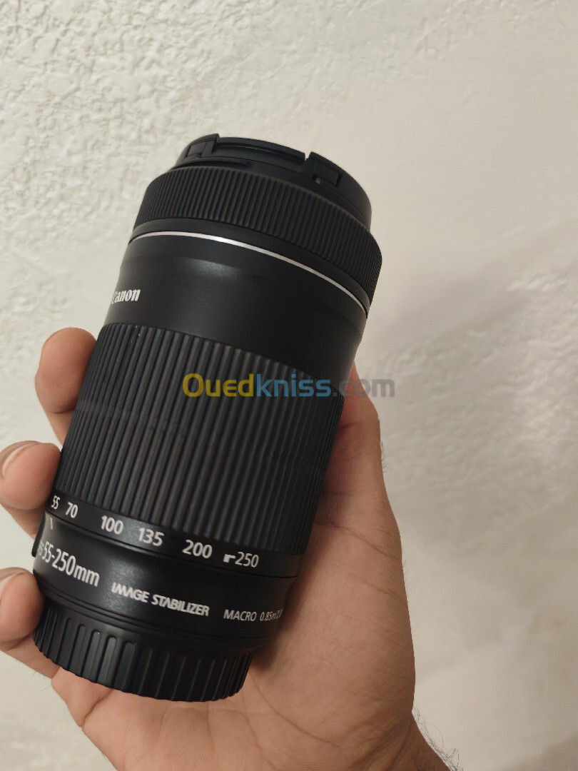 Canon 55-250 STM 