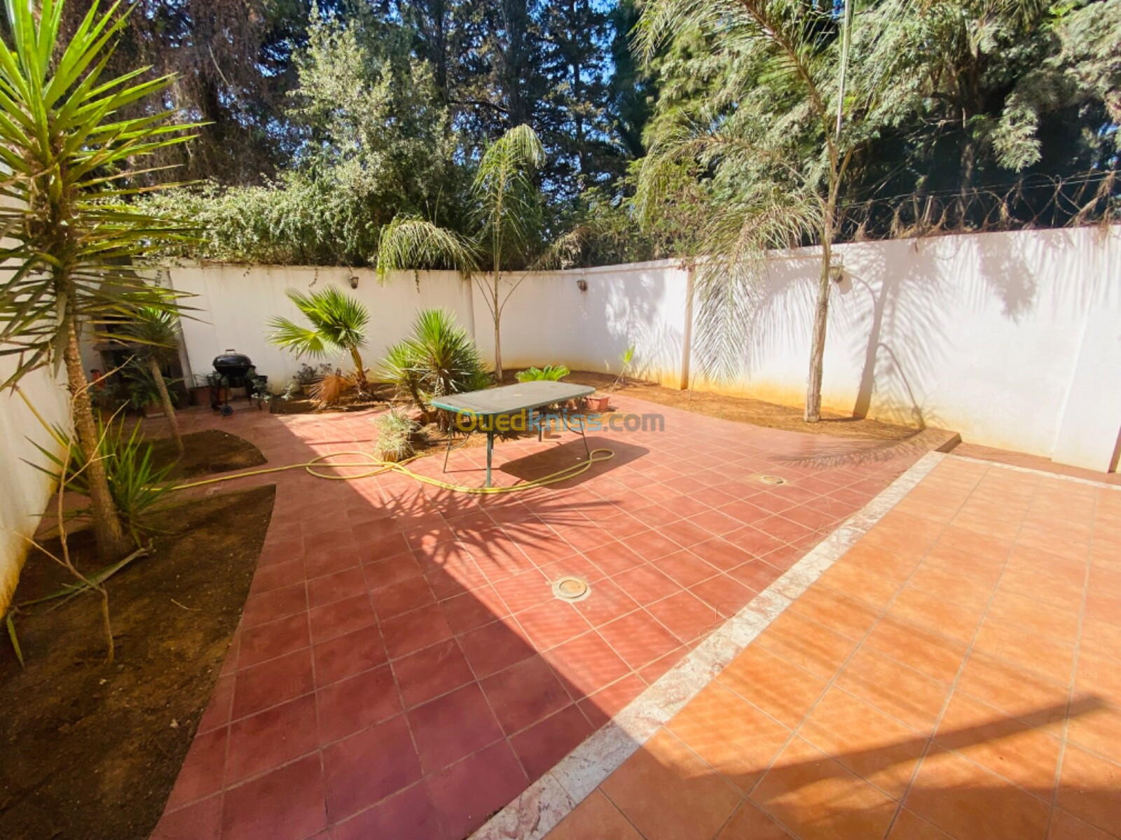 Location Villa Alger Ben aknoun