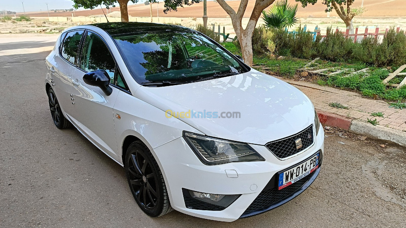 Seat Ibiza 2012 Ibiza