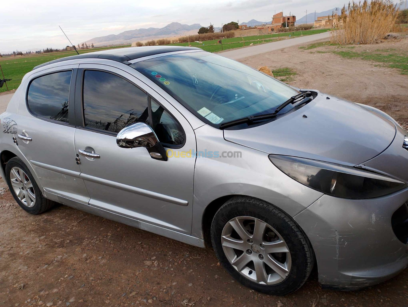 Peugeot 207 2009 Active