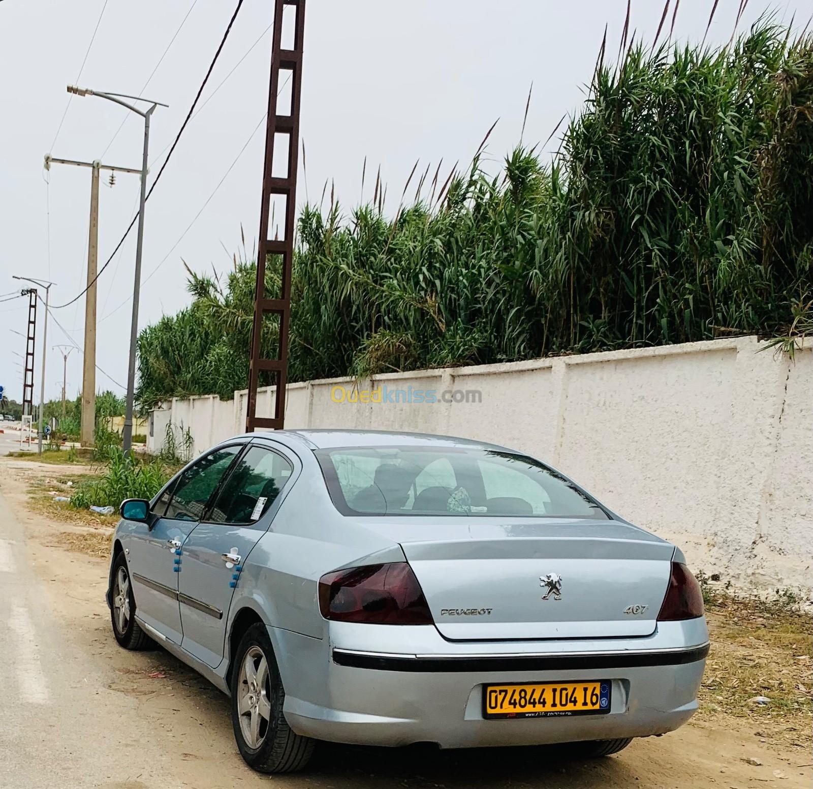 Peugeot 407 2004 407