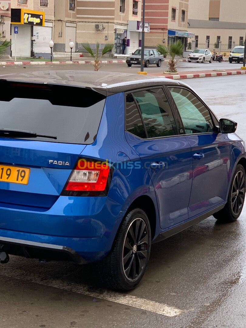 Skoda Fabia 2019 Monte Carlo