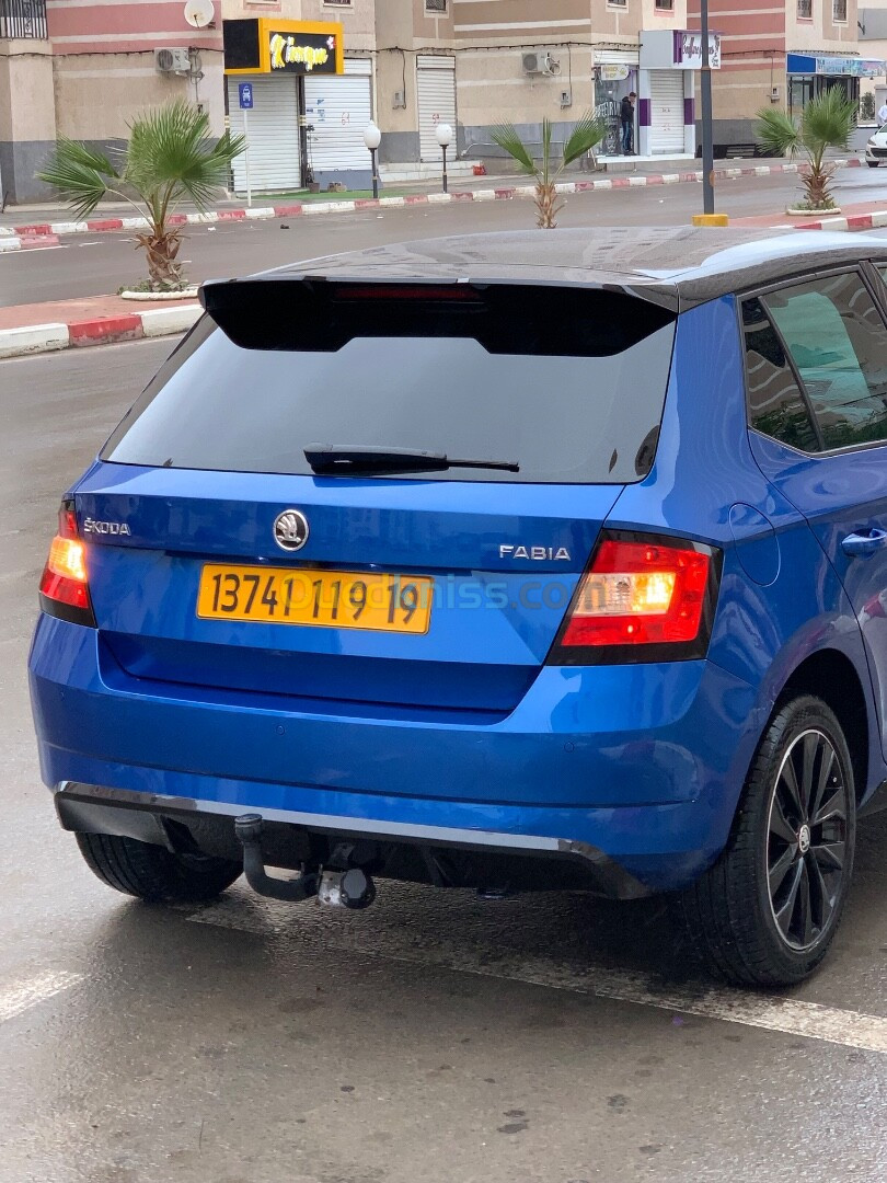 Skoda Fabia 2019 Monte Carlo