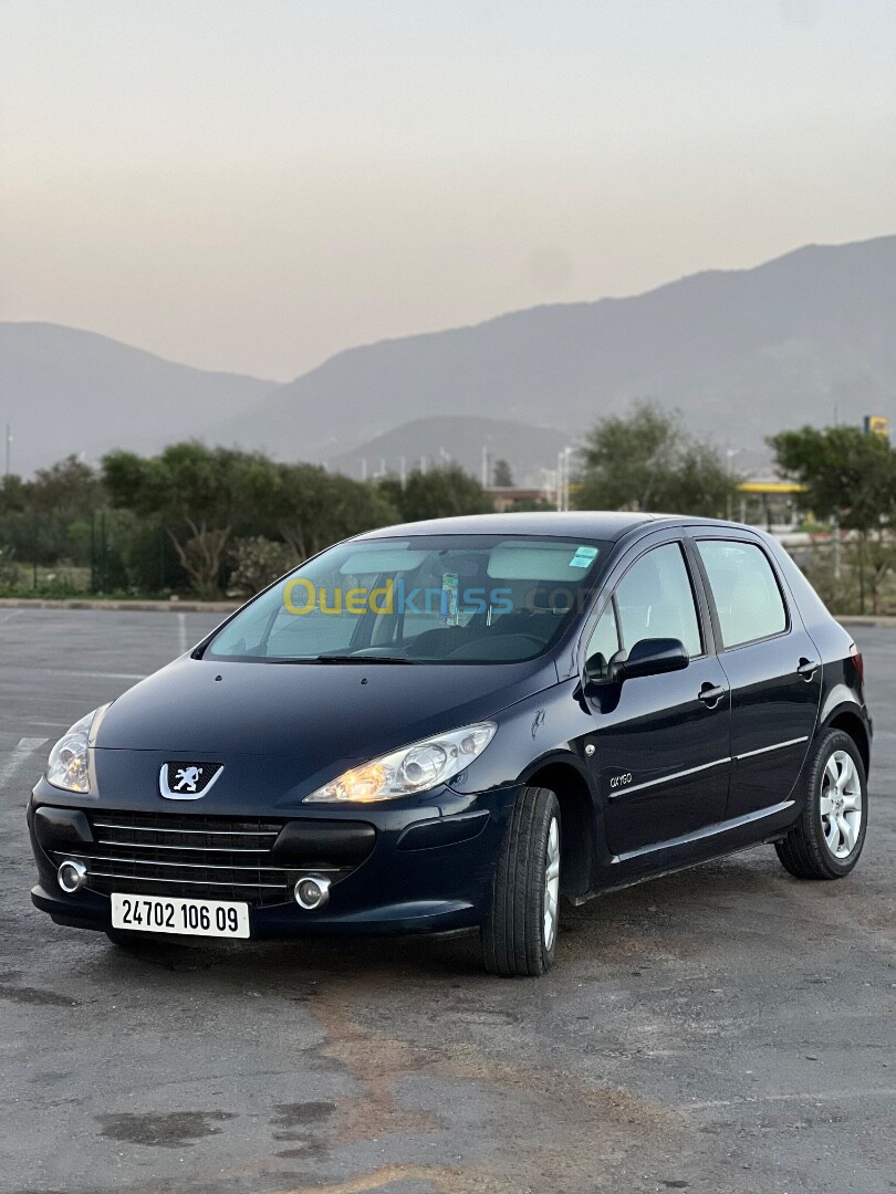 Peugeot 307 2006 Oxygo