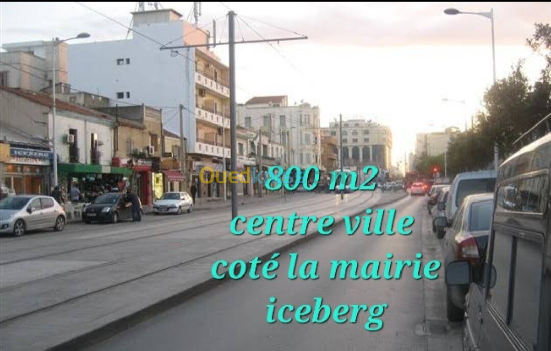 Vente Terrain Alger Bordj el kiffan