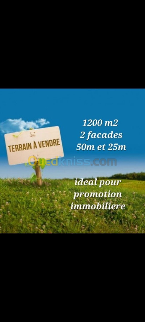 Vente Terrain Alger Ain naadja