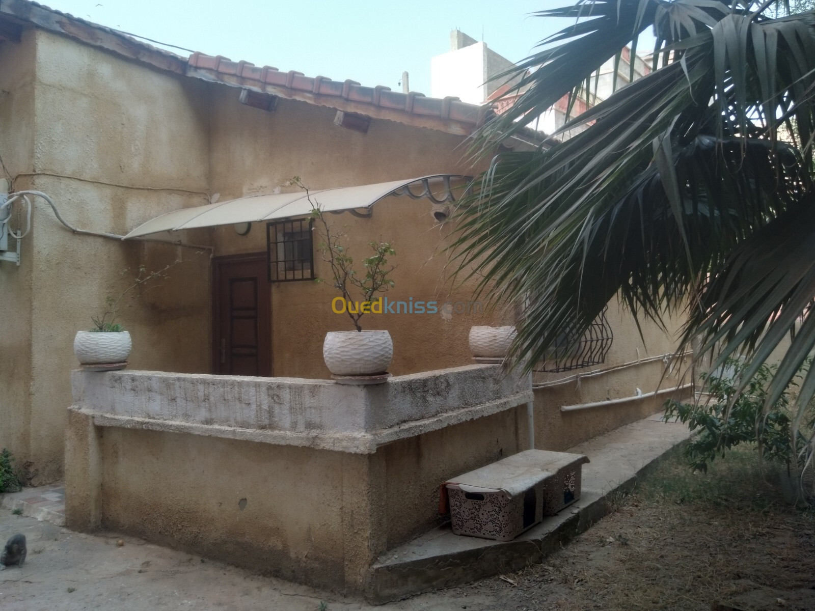 Vente Villa Blida Bouinan