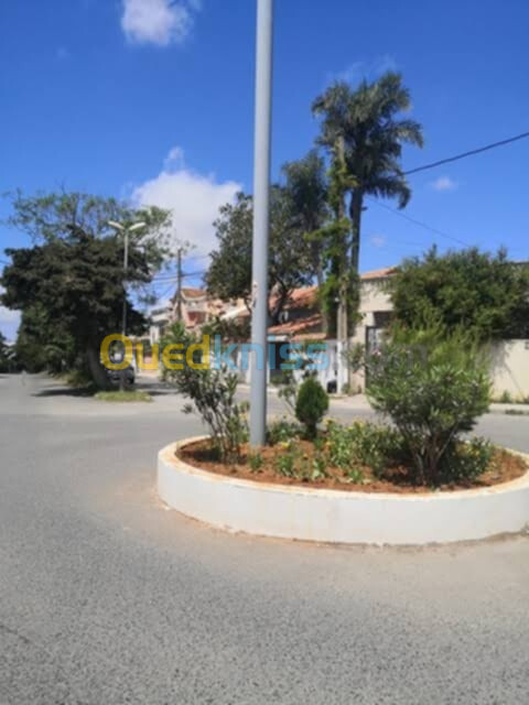 Vente Terrain Alger Chevalley