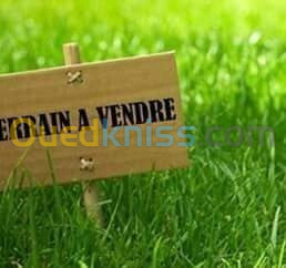 Vente Terrain Tissemsilt Tissemsilt