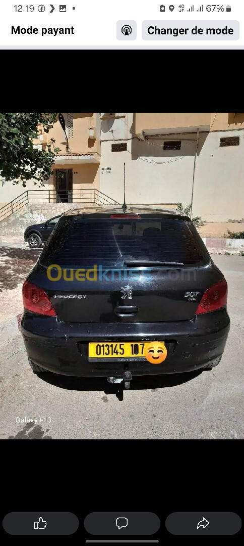 Peugeot 307 2007 Oxygo