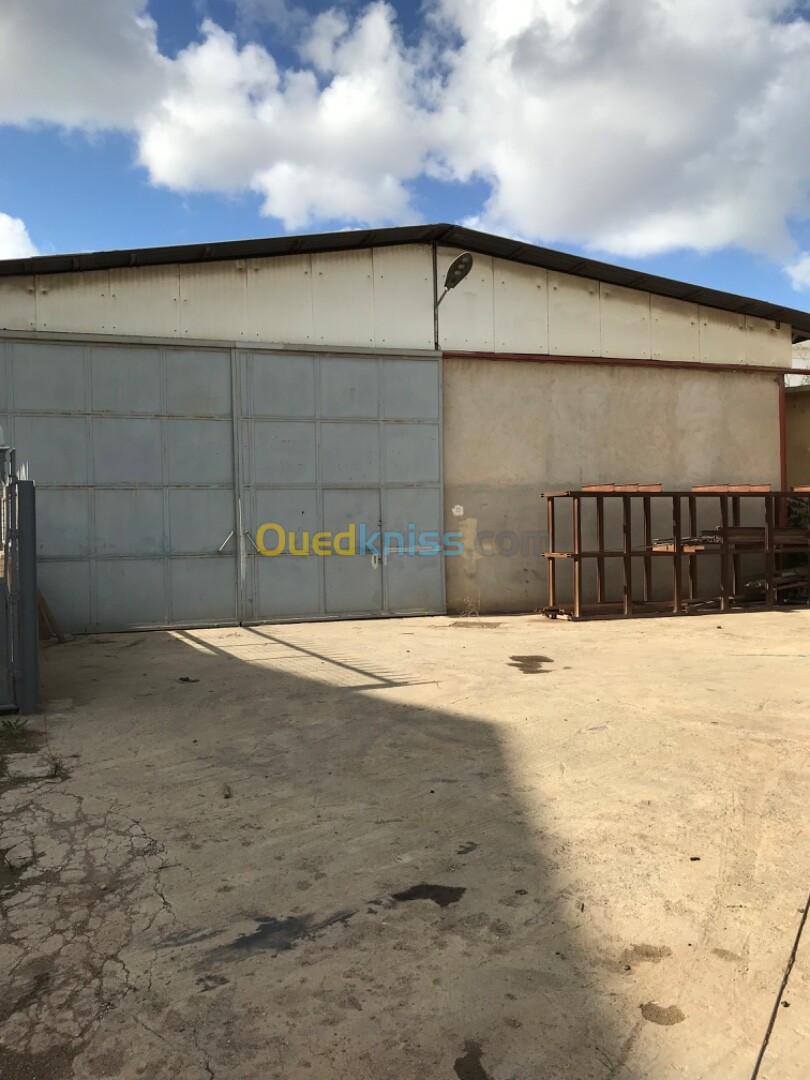 Location Hangar Alger Oued smar