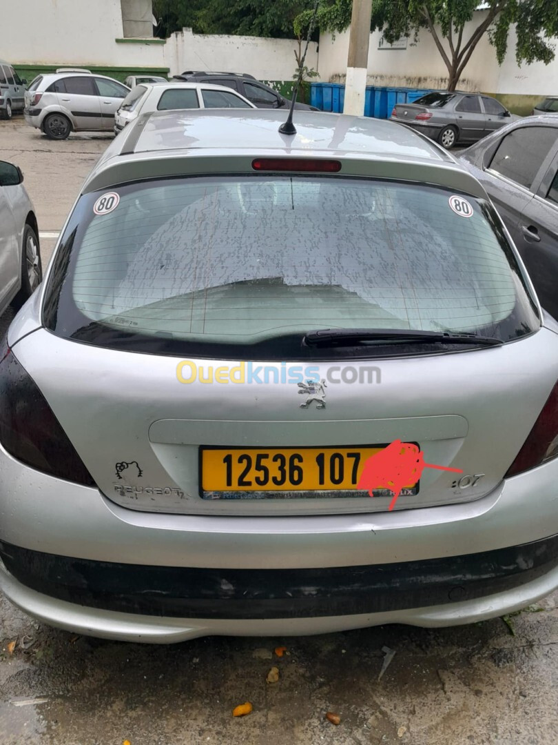 Peugeot 207 2007 207