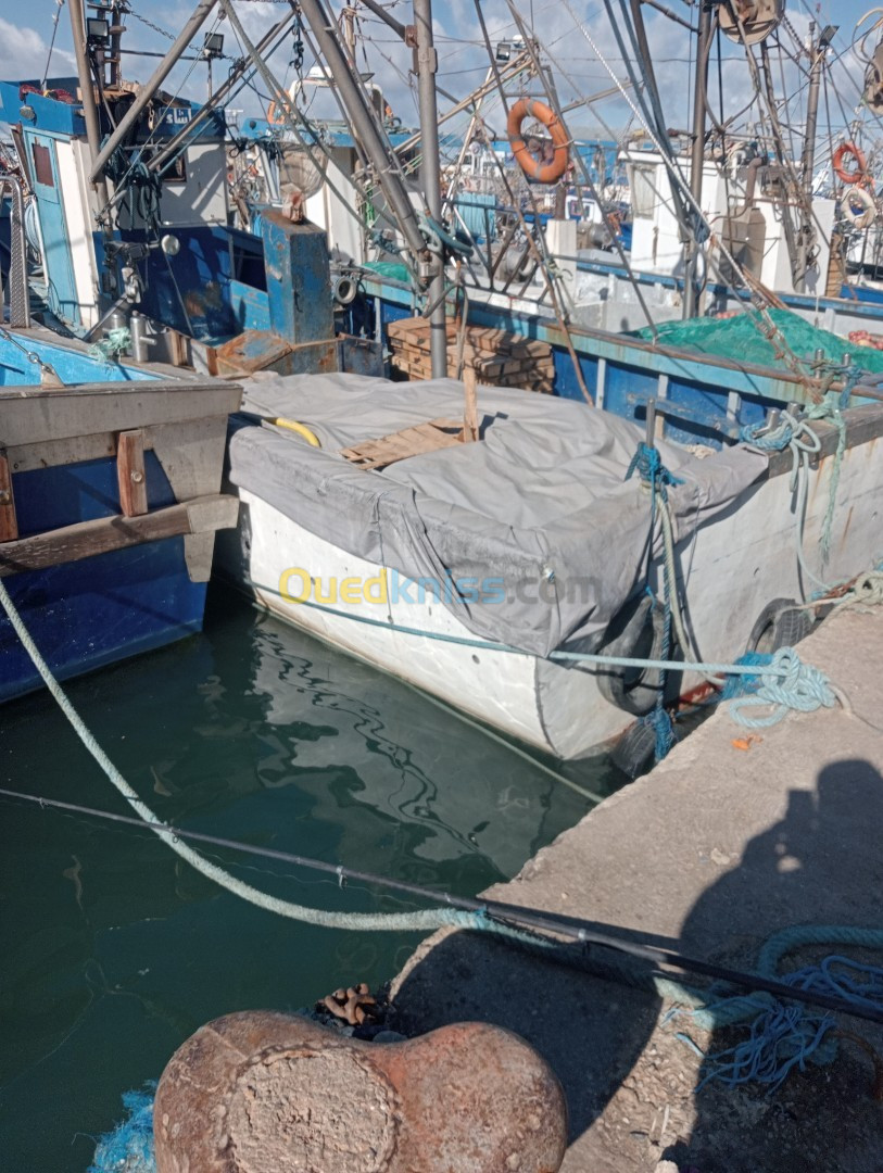 Moteur(boudwan) Sardinier 12 mètre 2016