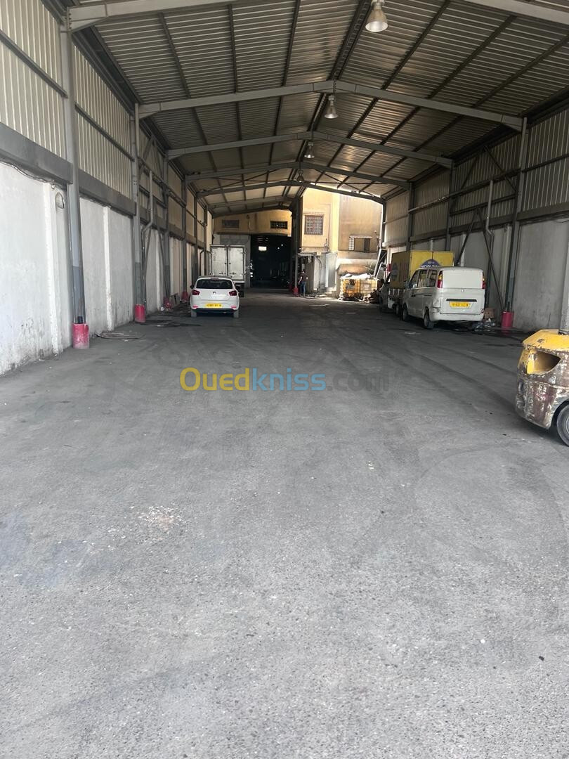 Vente Hangar Alger Ouled chebel