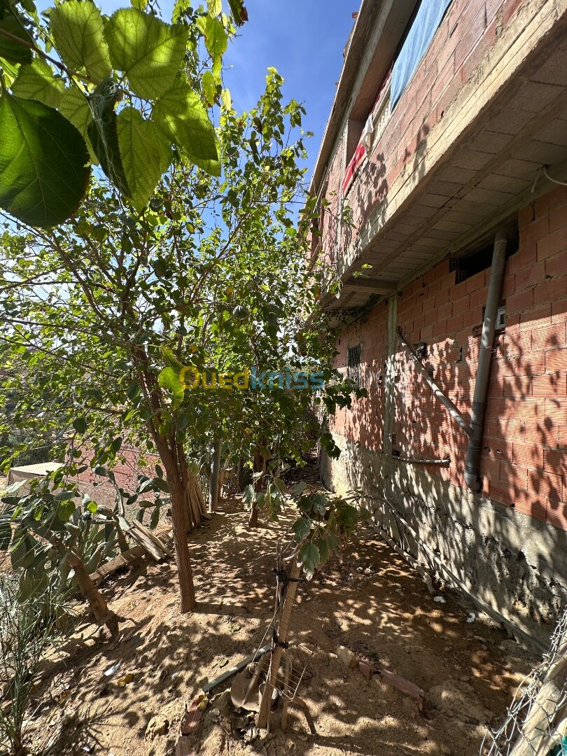 Vente Villa Chlef Chlef