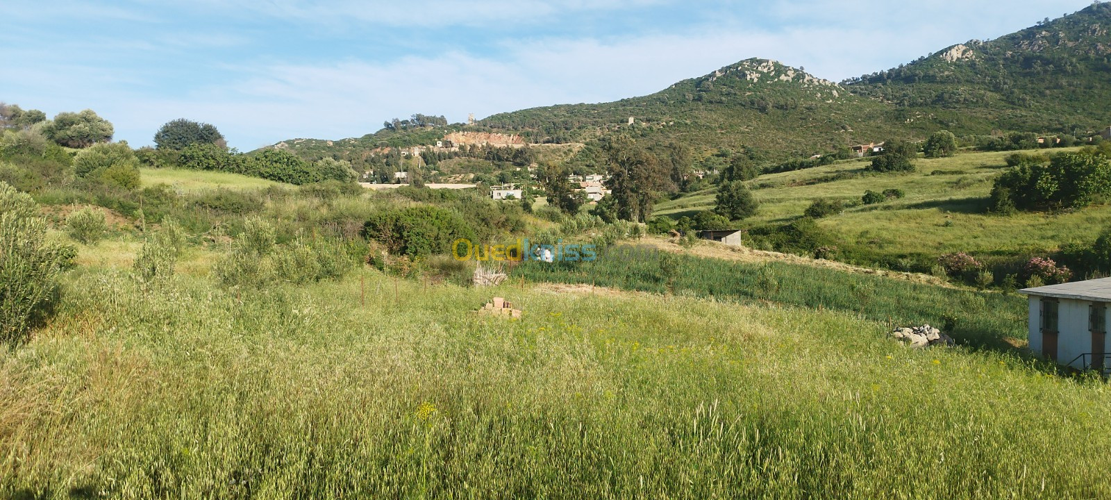 Vente Terrain Boumerdès Bouzegza keddara