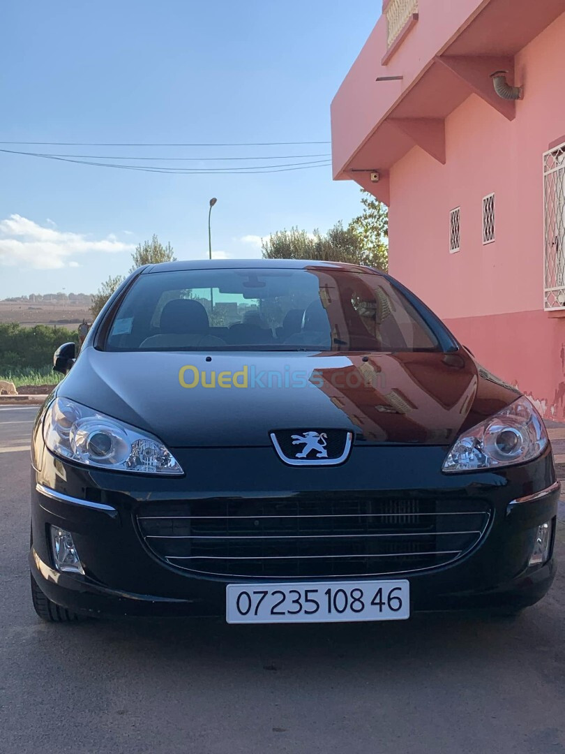 Peugeot 407 2008 407