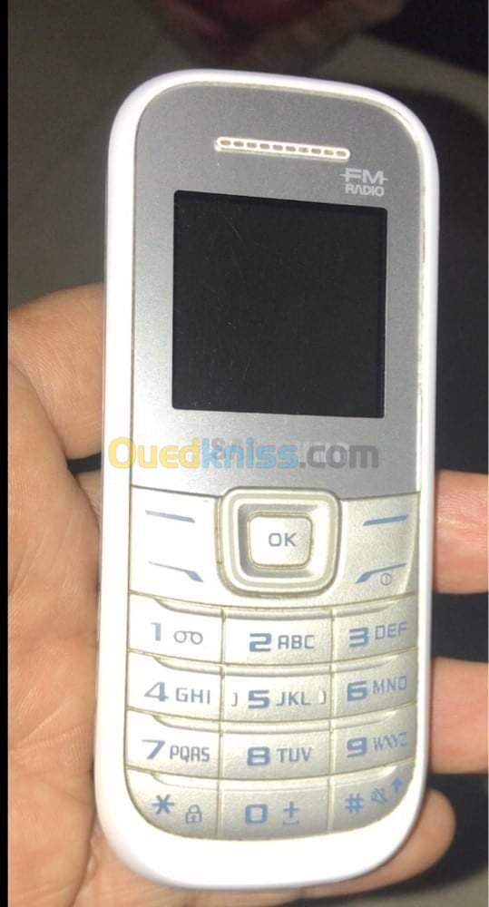 Samsung E1202