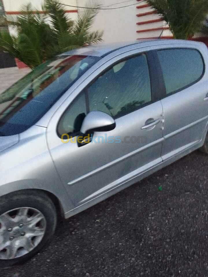 Peugeot 207 2012 New Active