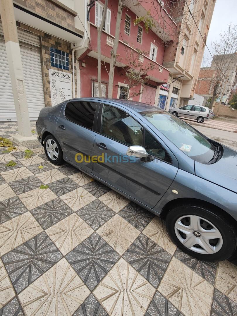 Peugeot 407 2006 407