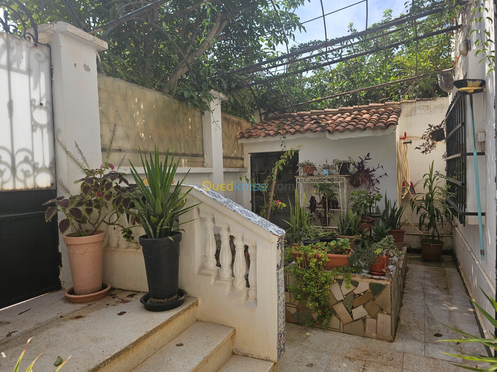 Vente Villa Alger El achour